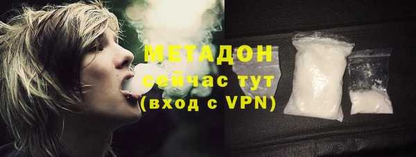 индика Алексин