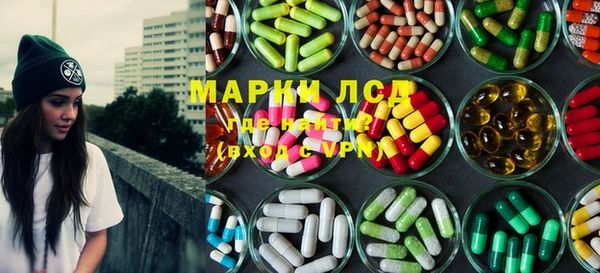индика Алексин