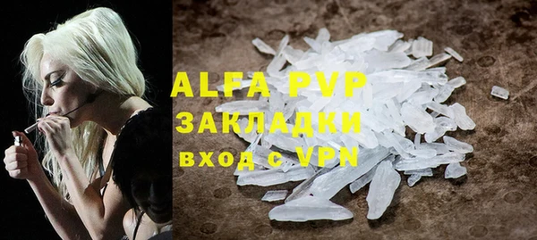 индика Алексин