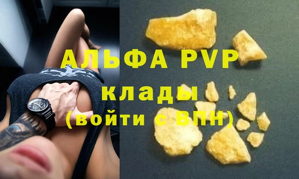 индика Алексин