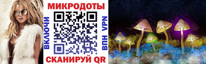 Псилоцибиновые грибы MAGIC MUSHROOMS Слободской